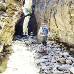 3-L-Entry-Franko3-SQs