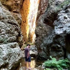 3-P-Deep-Nicholas-SQs