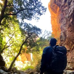 3-P-above-full-stop-trees-SQs