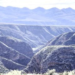 4-L-plateau-view2-SQs