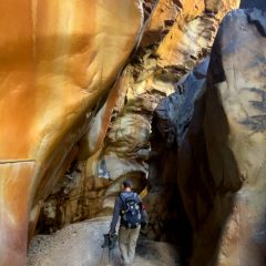 4-P-golden-slot-robin-SQs