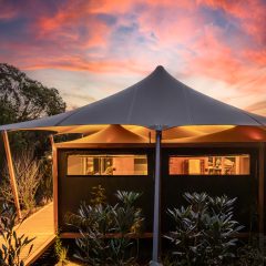 98-Kopanga-TWILIGHT-34-sq