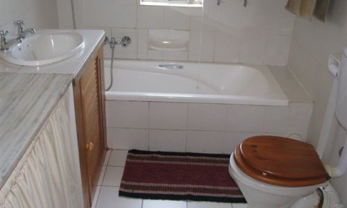 Die Plaashuis Badkamer 1